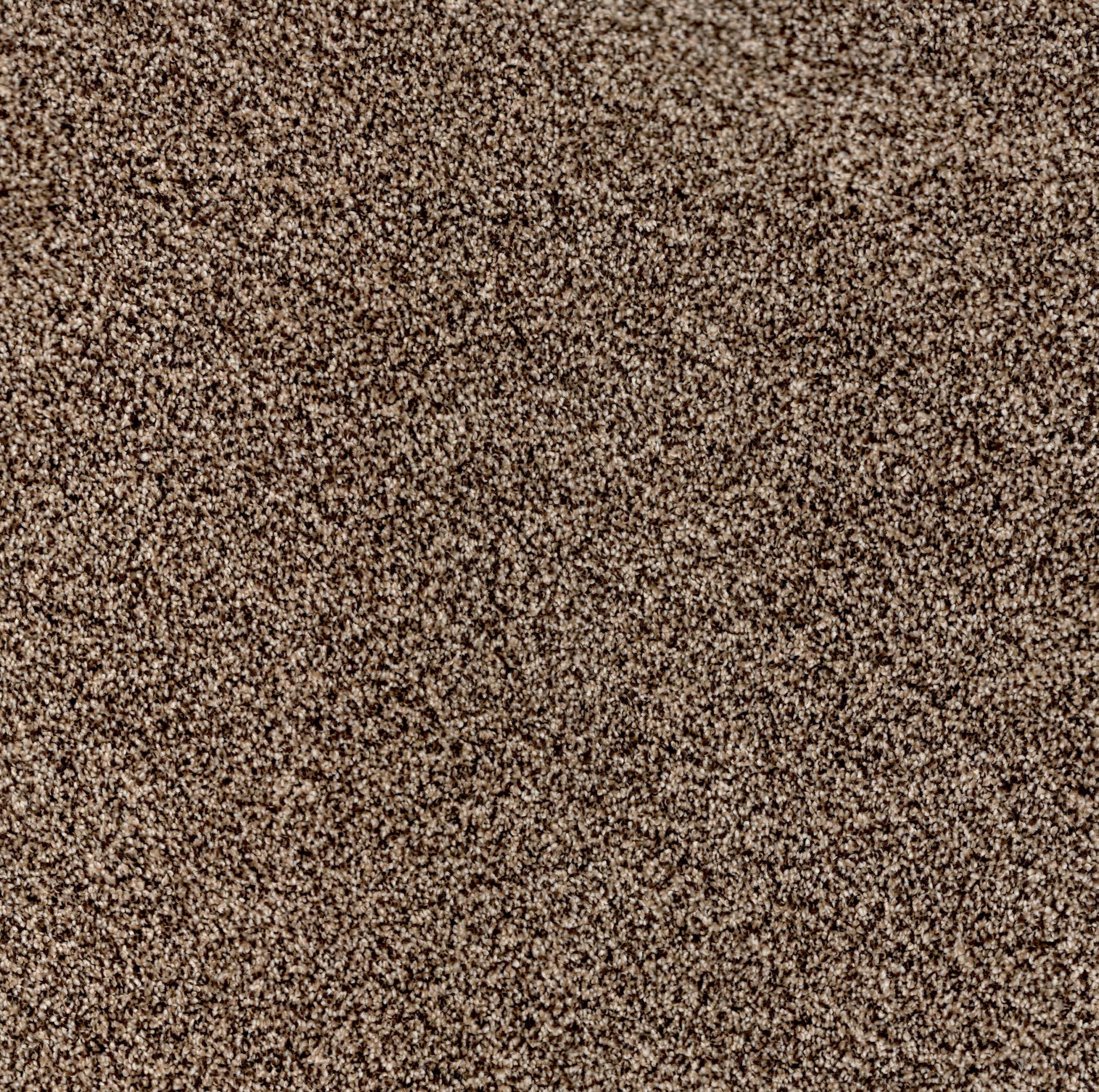 Believer — Antique Brown wide view