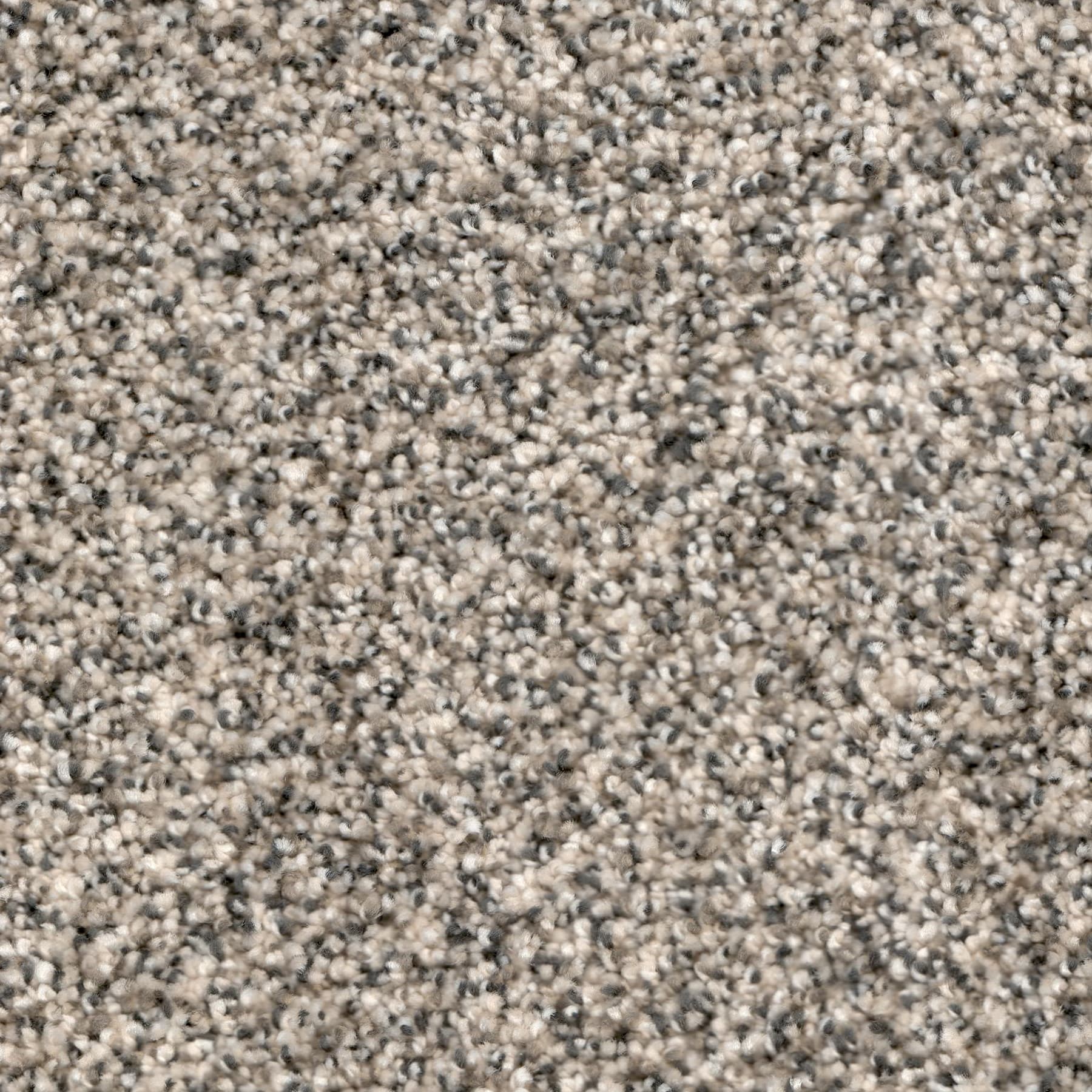 Cheer Up — Seashore close-up