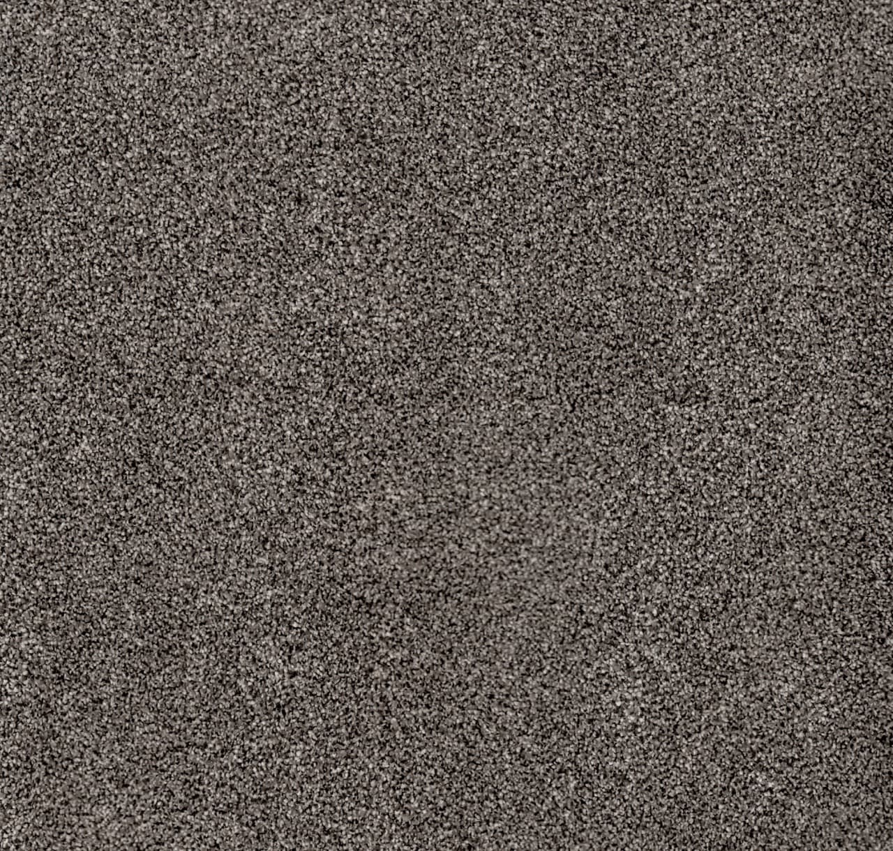Easy Living — Bulkhead wide view