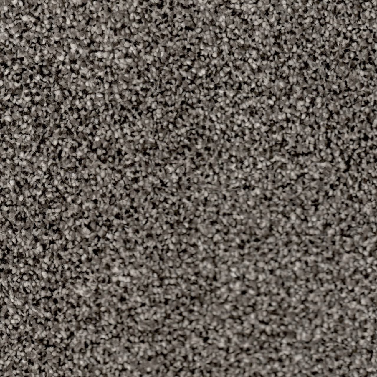 Easy Living — Bulkhead close-up