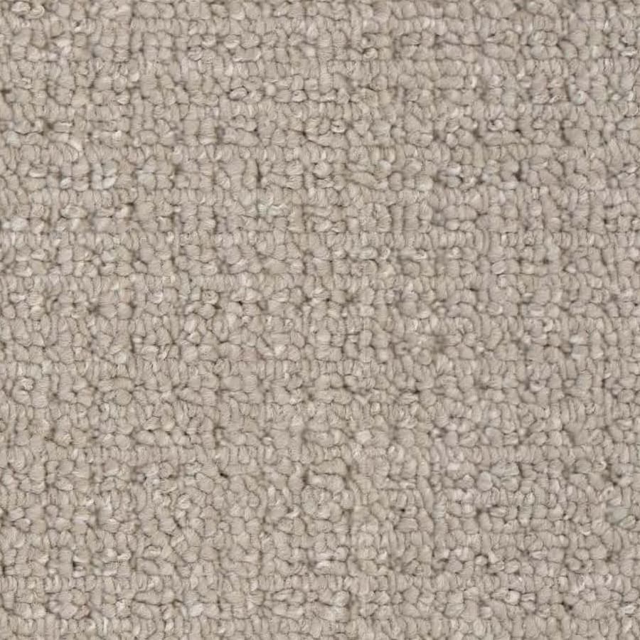 Ambition — Merino close-up