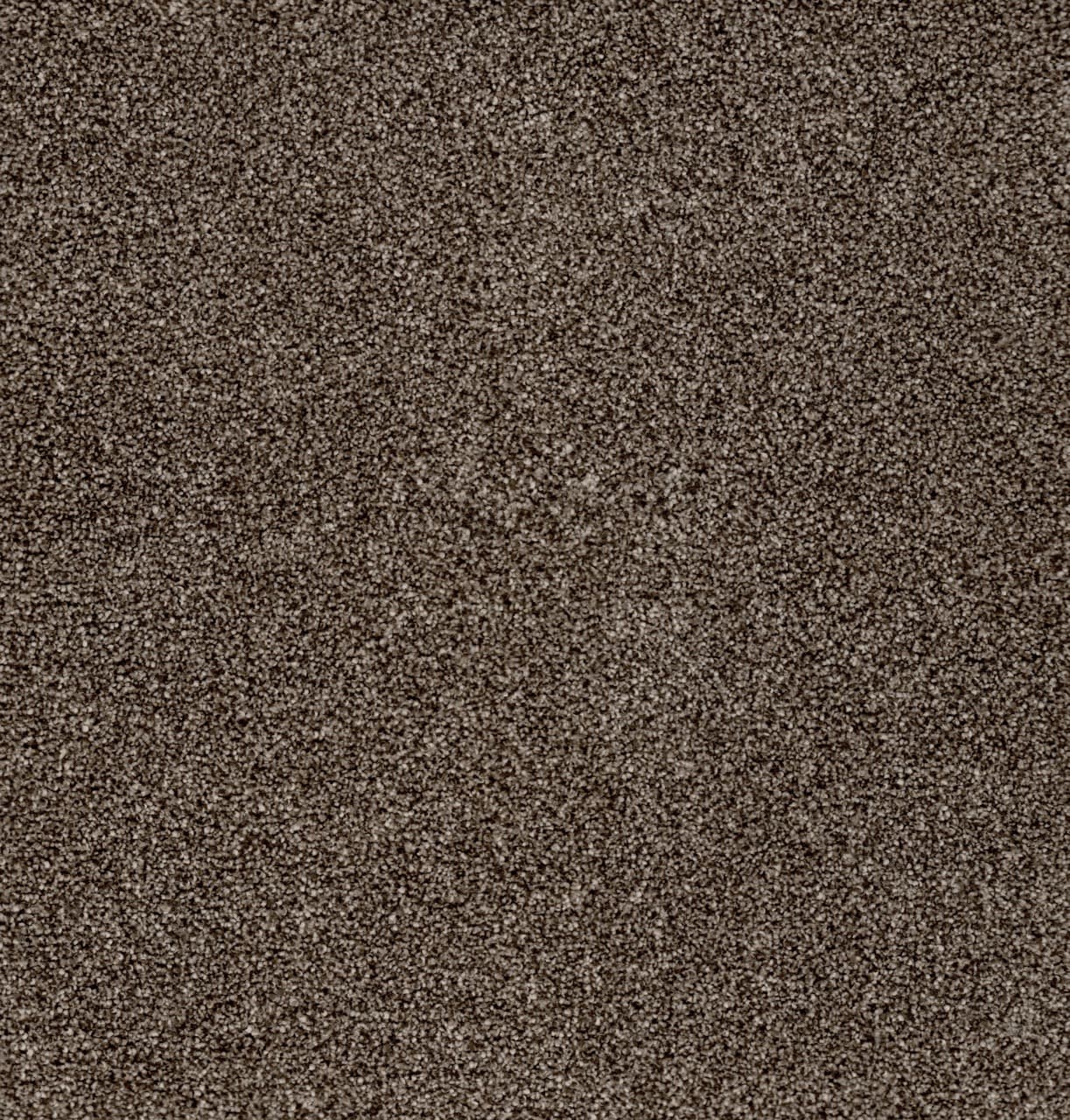 Start Living — Portal wide view