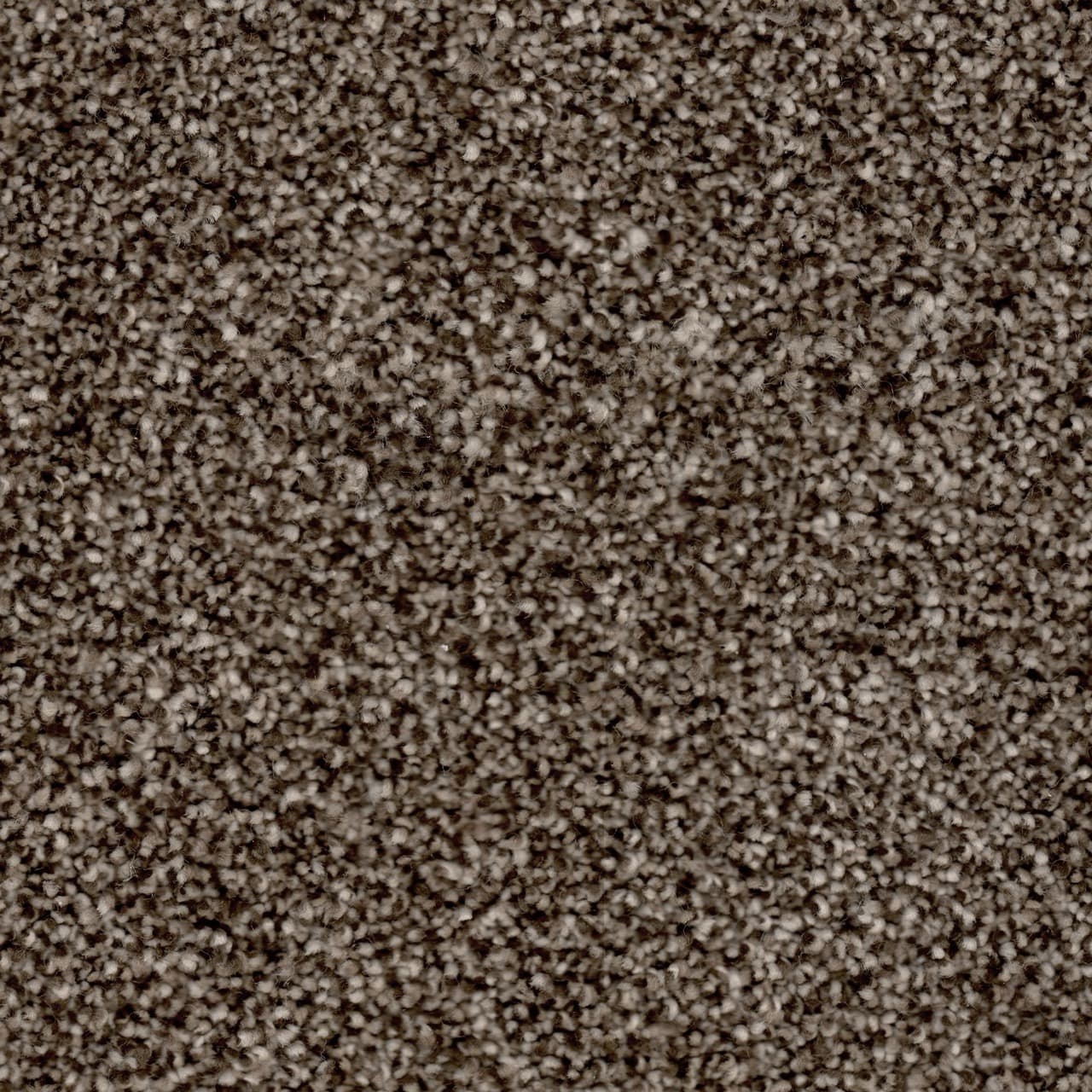 Start Living — Portal close-up